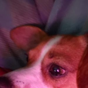 Meet your Posher, Jon